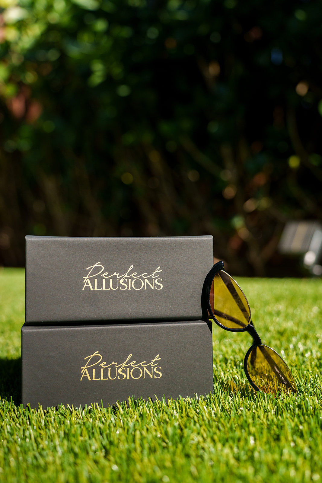 Perfect Allusions Luxury Sunglass Case